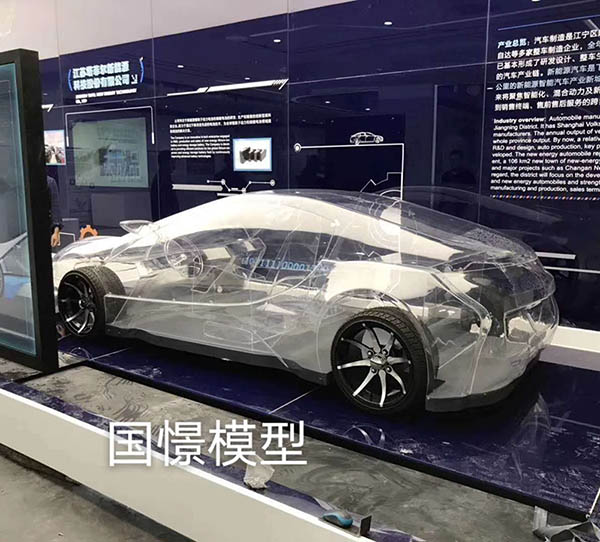 萧县透明车模型